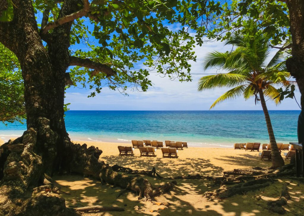 beach chairs